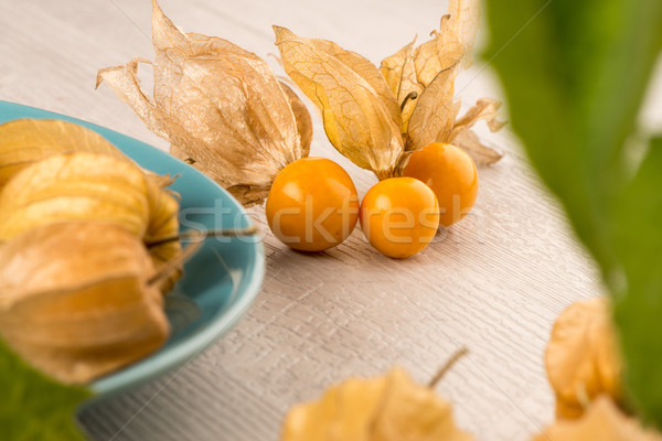 Physalis fruits Stock photo © homydesign