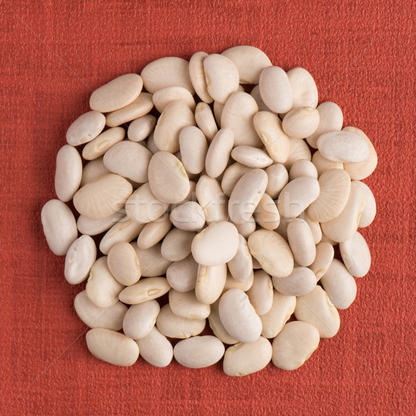 Circle of white beans Stock photo © homydesign