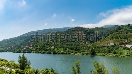 View of Douro Valley, Portugal.  Stock photo © homydesign