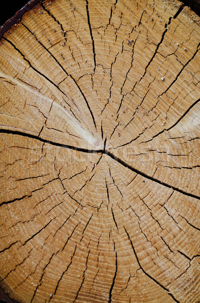 Crack wood spiral  Stock photo © homydesign