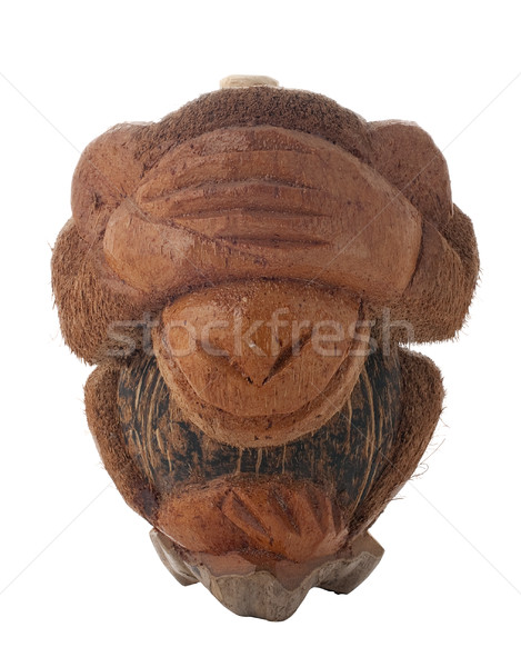 Szégyenkezve majom üveg kókusz forma izolált Stock fotó © homydesign