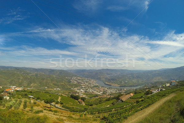 vineyars in Douro Valley Stock photo © homydesign