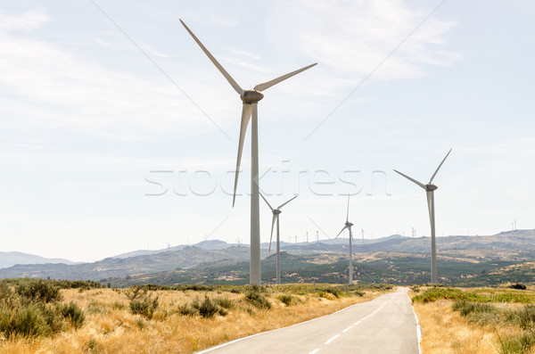 Wind turbines Stock photo © homydesign