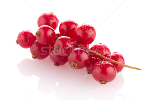 Red Currant Stock photo © homydesign