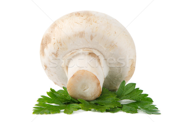 Champignon mushroom and parsley leaves  Stock photo © homydesign