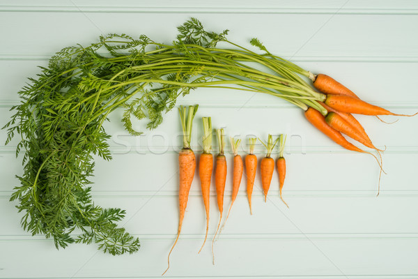 Carottes table en bois vert clair alimentaire bois fond [[stock_photo]] © homydesign