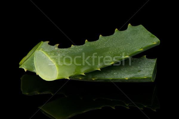 Aloés folha gotas de água isolado preto Foto stock © homydesign
