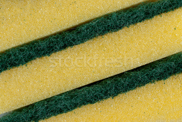 Sponge detail Stock photo © homydesign