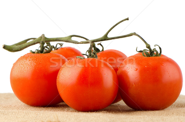 Cherry tomatoes vine Stock photo © homydesign