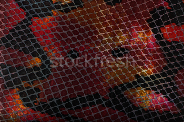 Serpiente piel cuero textura primer plano resumen Foto stock © homydesign