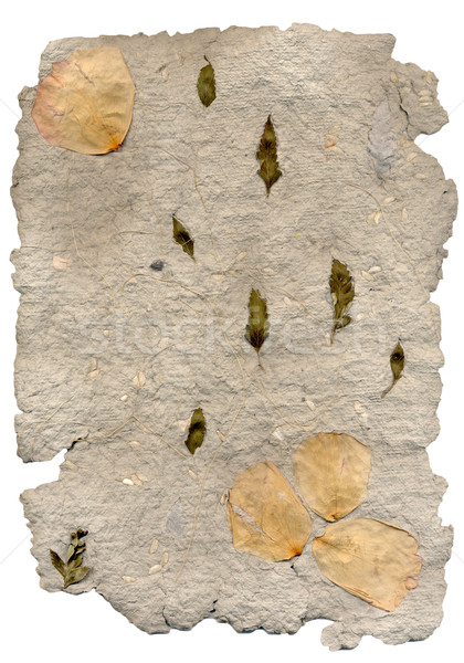 Hand made paper Stock photo © homydesign