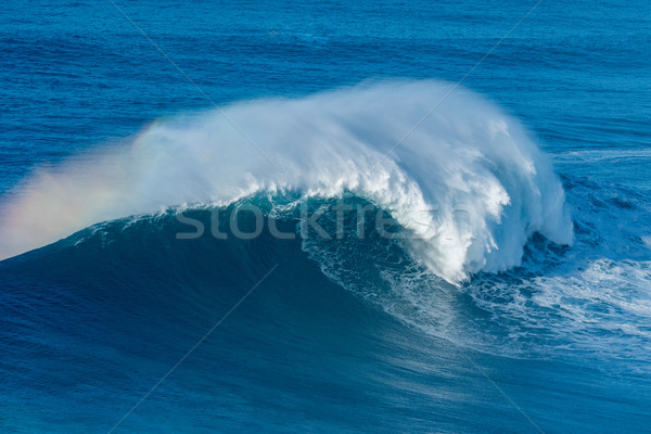 Wave breaking in Nazare Stock photo © homydesign