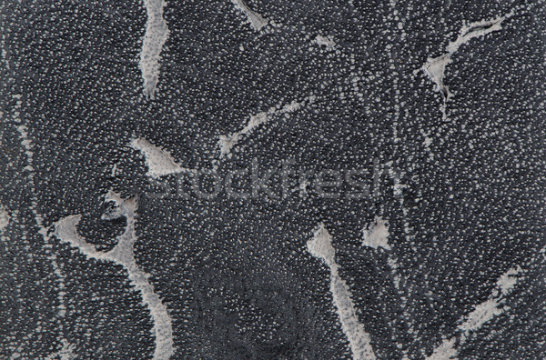 Leather background  Stock photo © homydesign