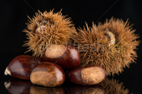 Chestnuts on a black reflective background Stock photo © homydesign