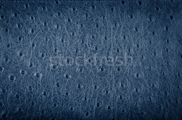Blu pelle texture primo piano dettagliato moda Foto d'archivio © homydesign