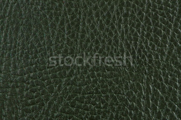 Green leather  Stock photo © homydesign