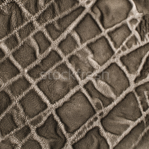 Grey leather Stock photo © homydesign