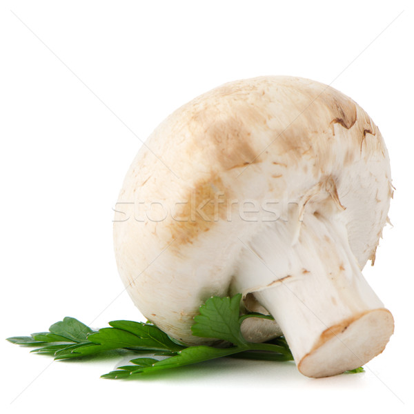 Champignon gomba petrezselyem levelek izolált fehér Stock fotó © homydesign