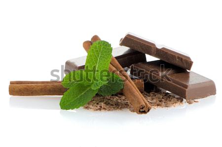 Csokoládé szelet menta levelek fahéj izolált fehér Stock fotó © homydesign