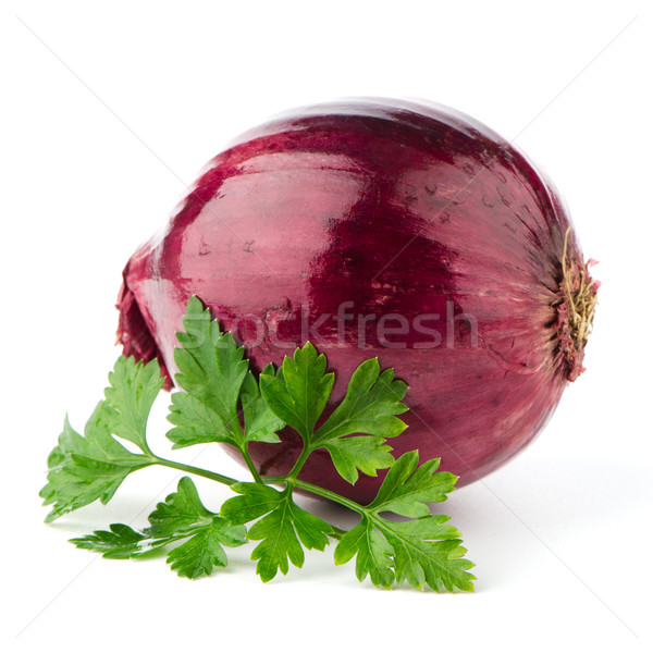 Red onion tuber and fresh parsley Stock photo © homydesign