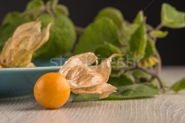 Physalis fruits Stock photo © homydesign