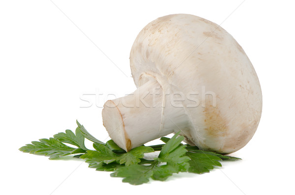 Champignon gomba petrezselyem levelek izolált fehér Stock fotó © homydesign