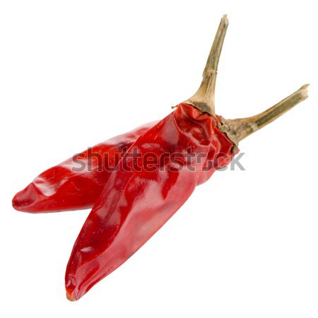 Two red hot chili pepper Stock photo © homydesign