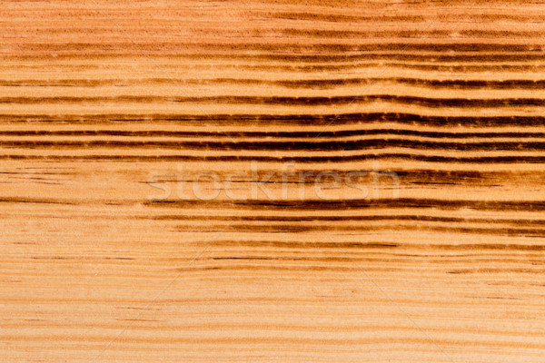  Burned pine wood background Stock photo © homydesign