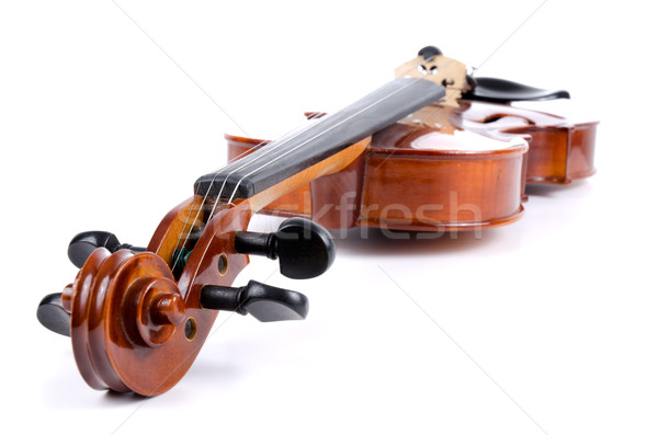 Violin Stock photo © homydesign