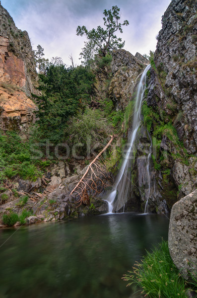 Beautiful waterfall Stock photo © homydesign