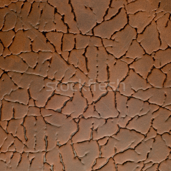 Textured leather  Stock photo © homydesign