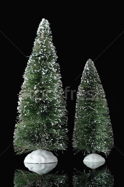 Miniature pine trees Stock photo © homydesign