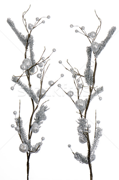 Christmas decorative silver leaves Stock photo © homydesign