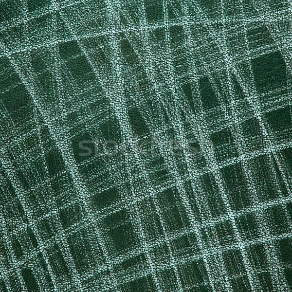 Green leather Stock photo © homydesign