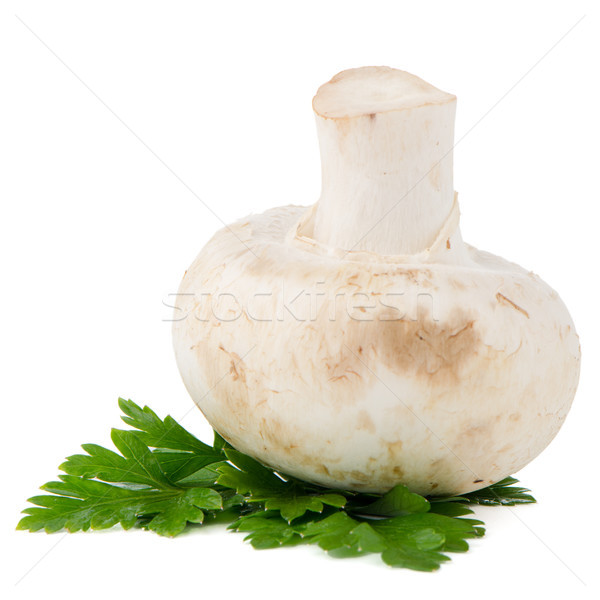 Champignon gomba petrezselyem levelek izolált fehér Stock fotó © homydesign