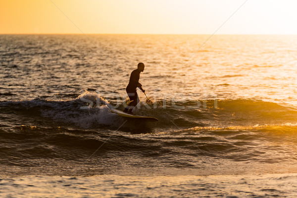 Stand up paddler silhouette at sunset Stock photo © homydesign