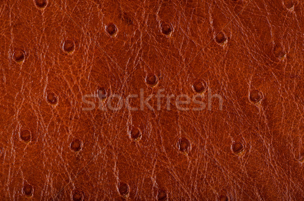 Leather texture background  Stock photo © homydesign