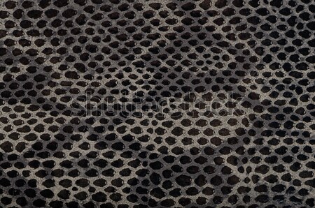 Serpent peau cuir texture mode [[stock_photo]] © homydesign