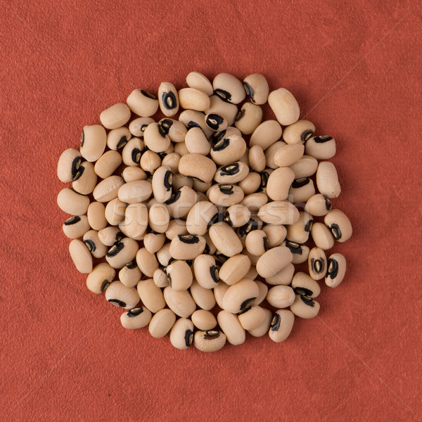 Circle of white beans Stock photo © homydesign
