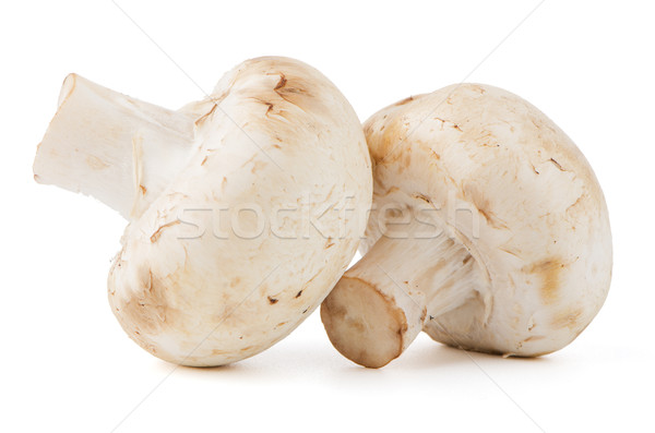 Champignon ciuperci alb fundal verde culoare Imagine de stoc © homydesign