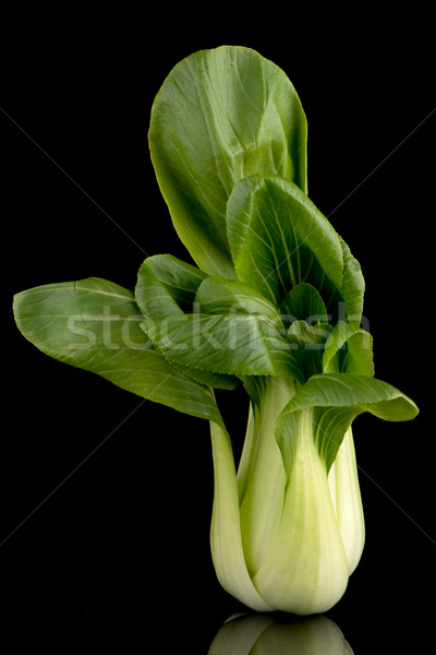 Nero verde insalata impianto verdura asian Foto d'archivio © homydesign