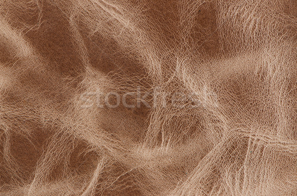 коричневый старые выветрившийся кожа аннотация Гранж Сток-фото © homydesign