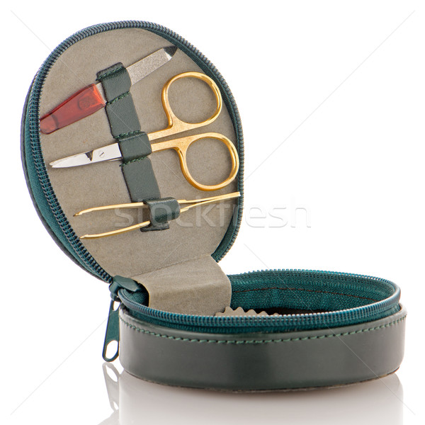 Small green leather travel care kit Stock photo © homydesign