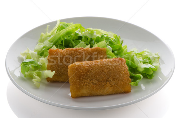 Frango queijo servido salada comida prato Foto stock © homydesign