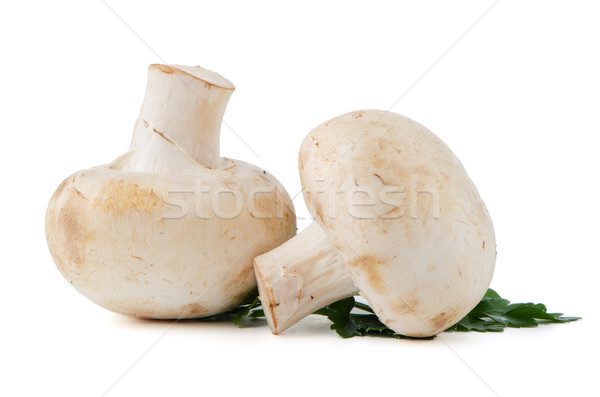 Champignon mushrooms and parsley leaves  Stock photo © homydesign