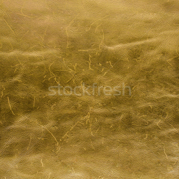 Golden color leather Stock photo © homydesign