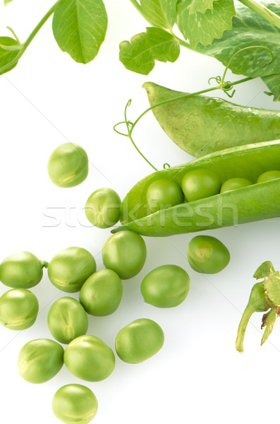 Frescos verde vaina blanco alimentos grupo Foto stock © homydesign