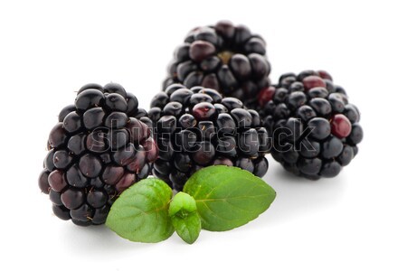 Blackberries with leaves Stock photo © homydesign