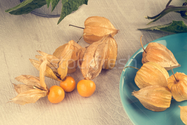 Physalis fruits Stock photo © homydesign