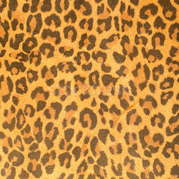Leopard leather pattern texture closeup Stock photo © homydesign